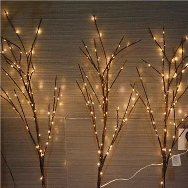 Brainsí Crainn faoi stiúir Soilsiú